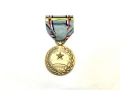米軍実物 USAF Efficiency Honor Fidelity メダル