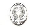 米軍実物 陸軍 第1軍団 America's Corps イラク軍 チャレンジコイン ARMY